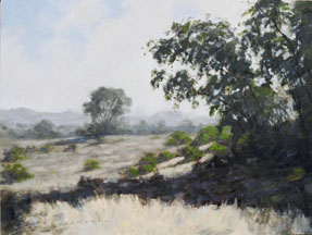 Tree in the Mountains